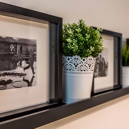 אכסניה Glycerin *